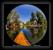 DalLake180books