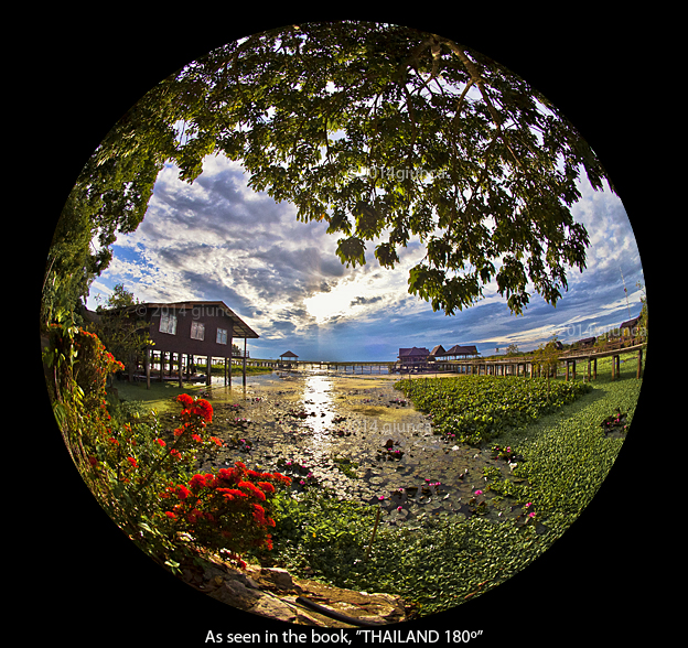 Image of the Talay Noi Wetlands Preserve, Phattalung, Thailand.