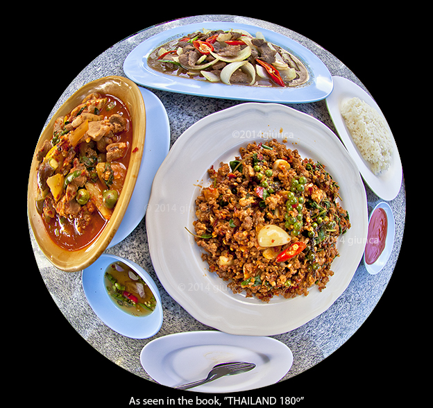 image of lizard,deer and wild boar in Thailand, as seen in THAILAND 180º.