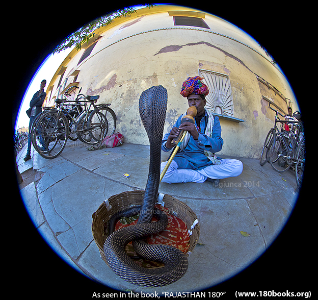 180books image of a snake charmer, by George Edward Giunca