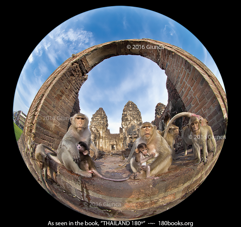 Image of Monkeys at Phra Prang Sam Yot