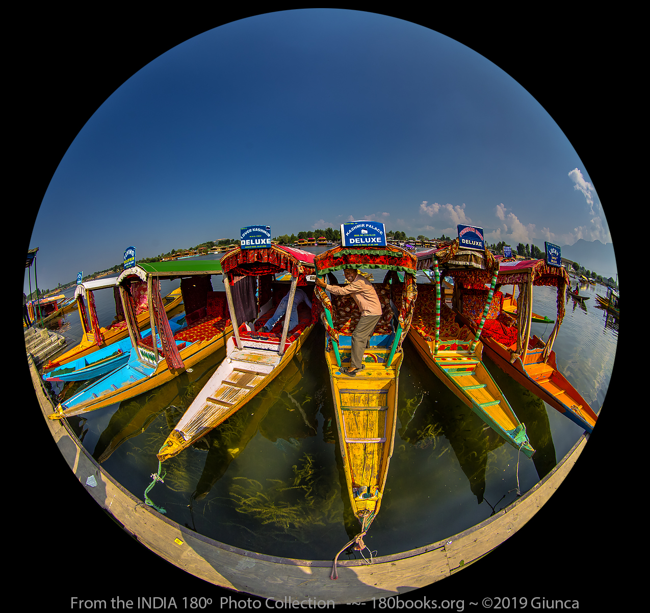 Fisheye lens image of Shakaras for rent on Dal Lake, Shrinagar, J&K, India