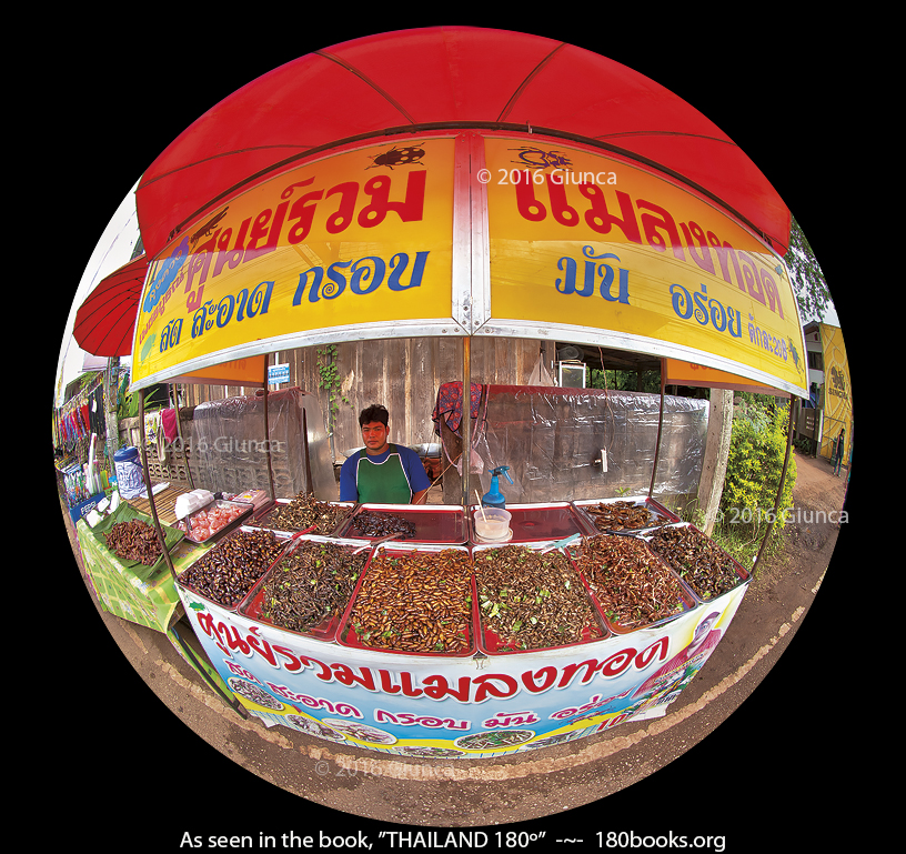Image of Fried bug vendor