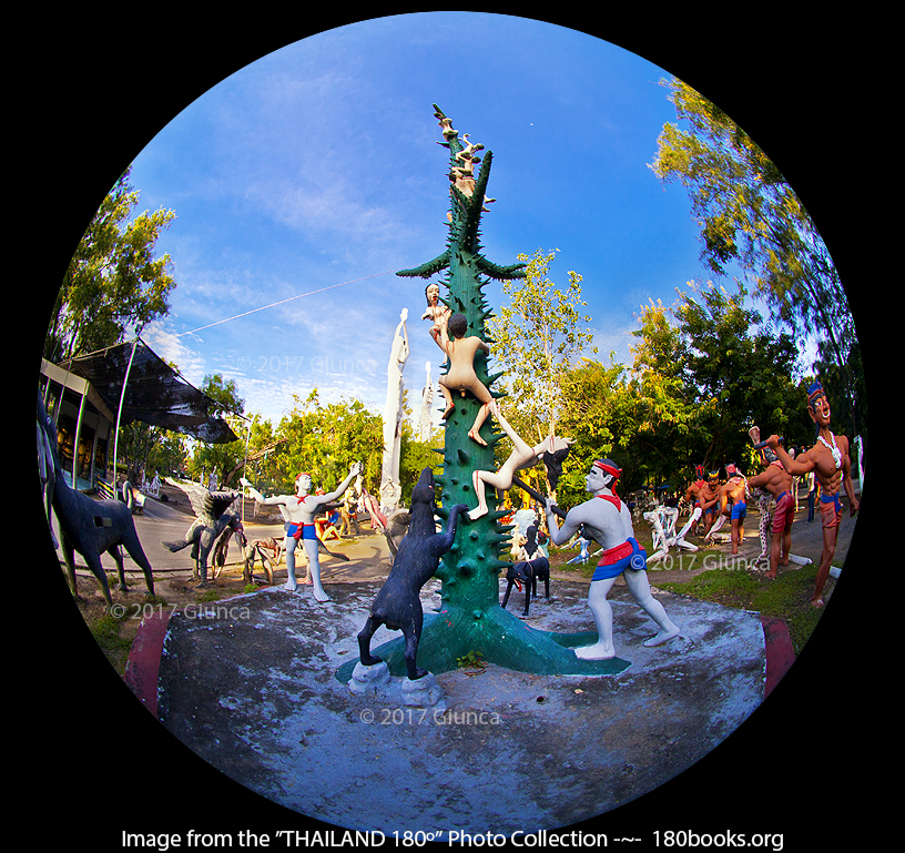 Image of Climbing the spiky & spooky tall cotton tree - ปีนต้นงิ้ว