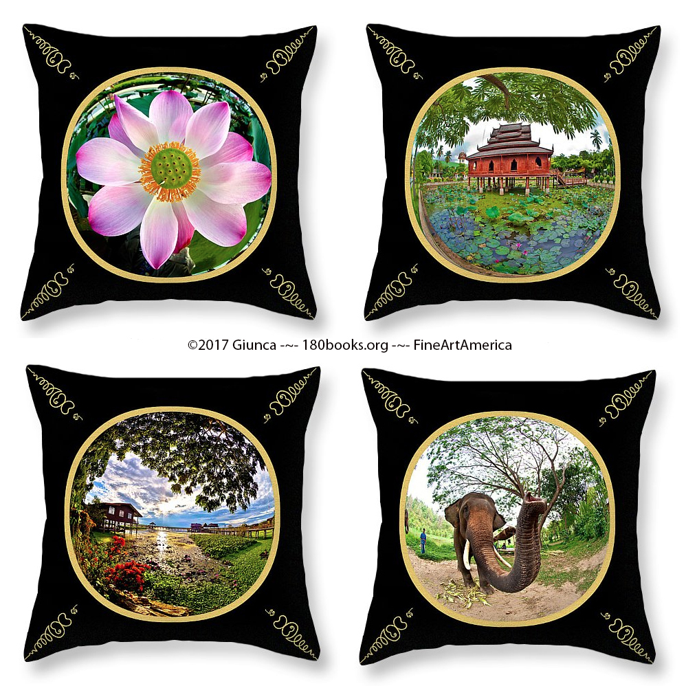 Image of 180º Special Design Throw Pillows