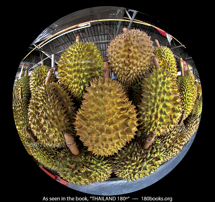 Image of Durian, the King of Asian Fruit ทุเรียน)