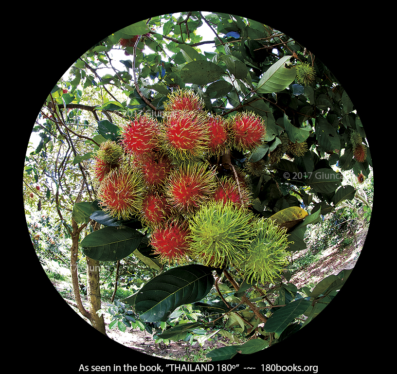 Image of Rambutans เงาะ