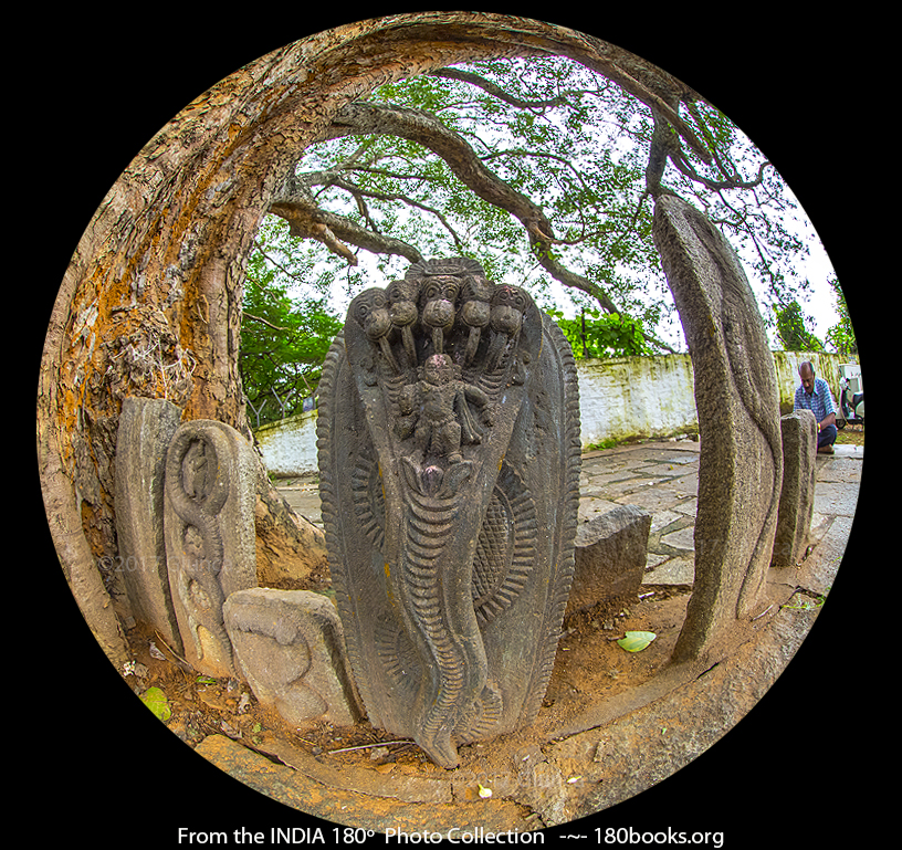 Image of Nagakal with Krishna in Bengaluru, Karnataka