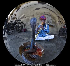 Imag of a Snake Charmer, Rajasthan
