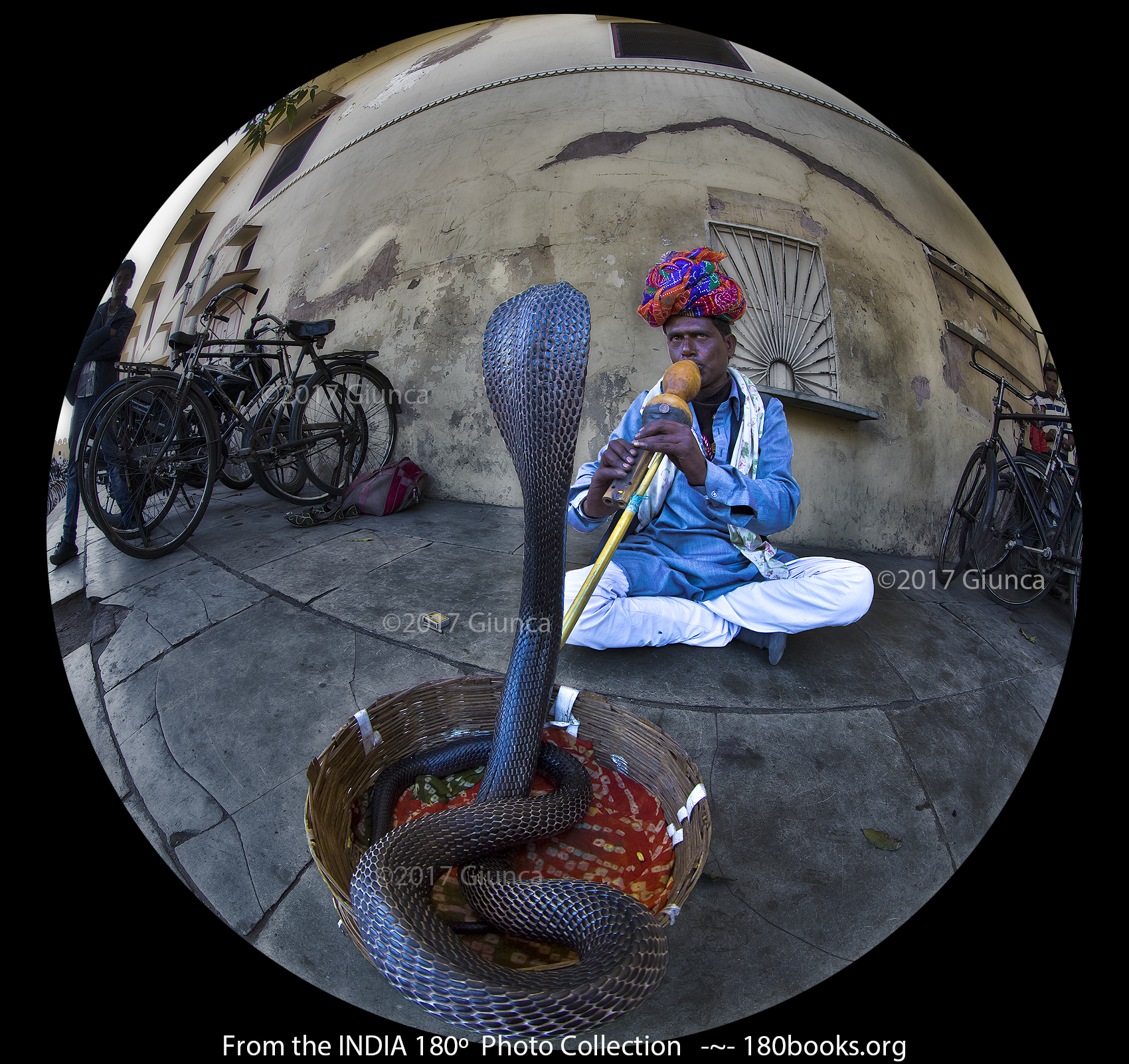 Imag of a Snake Charmer, Rajasthan