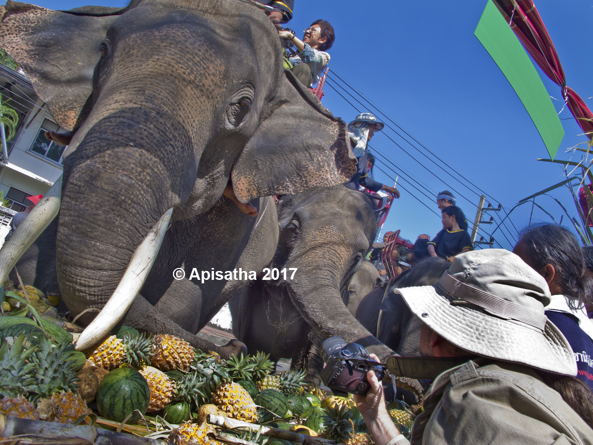 Photo of me working with my models at the Elephant Banquet