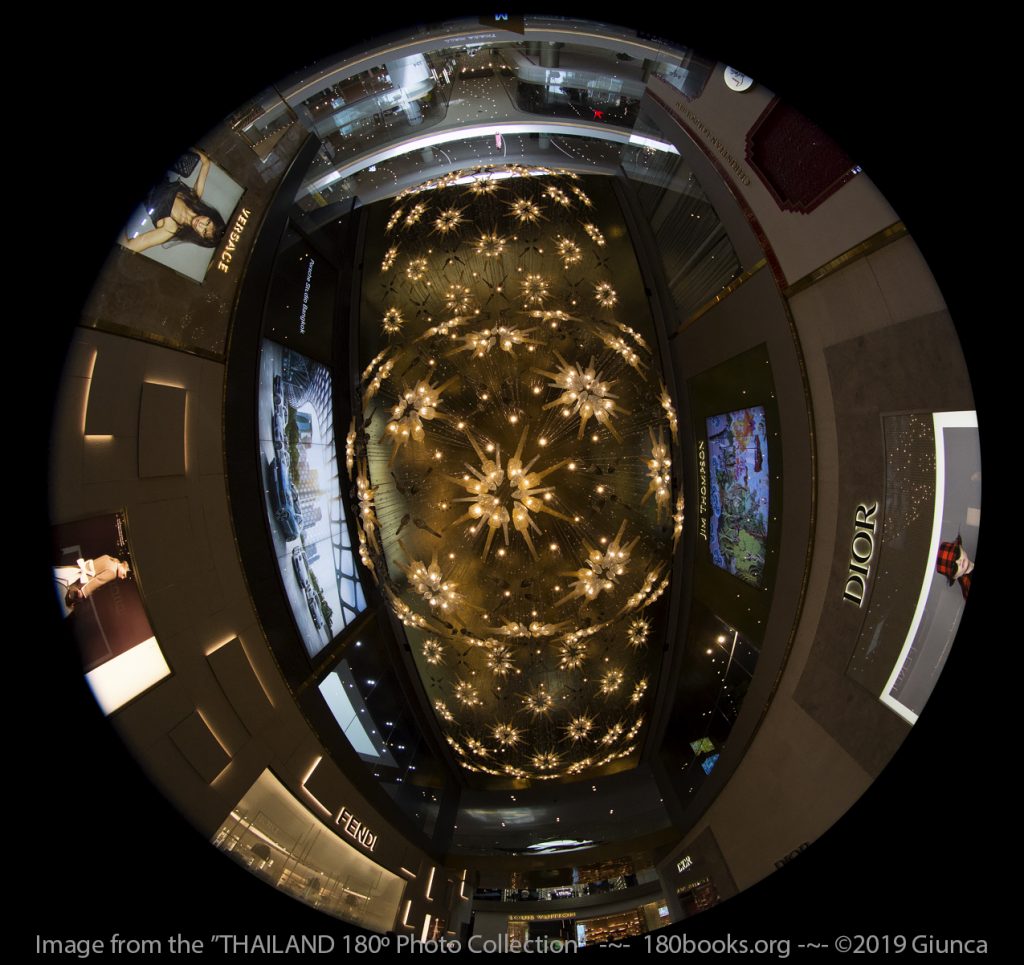 Circular fisheye lens image of