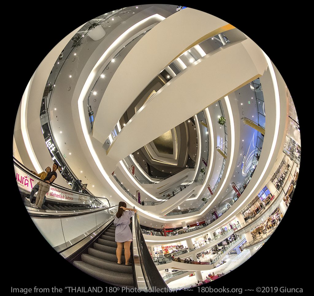 Circular fisheye lens image of