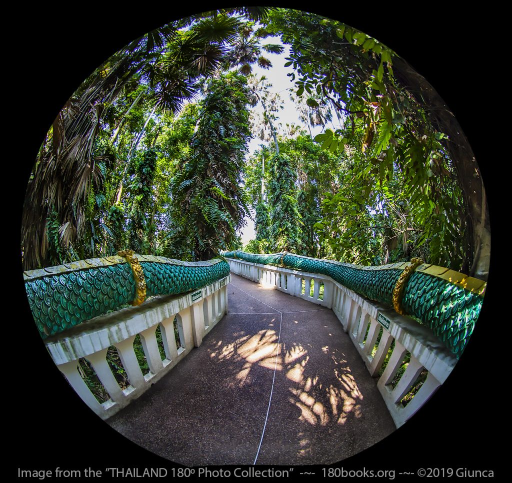 Circular fisheye lens image of Follow the giant snake sculpture to reach the island.