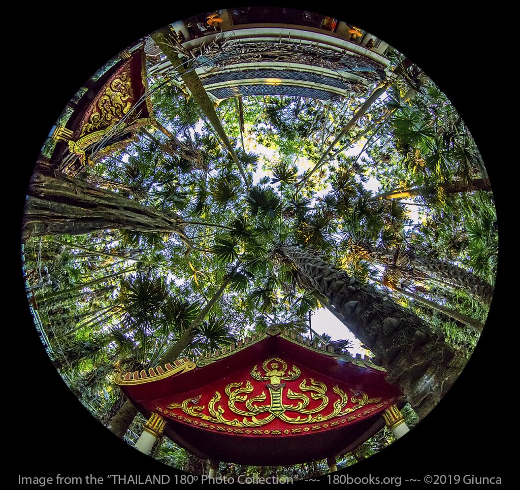 Circular Fisheye lens image of Wat Kham Chanot in Udon Thani, Thailand -Forest temple on an island in a jungle, surrounded by trees that give lottery numbers; Phaya Naga in the water.