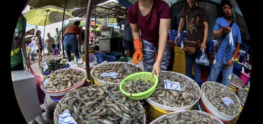 Maha Chai Seafood Market in Samut Sakhon, Thailand
