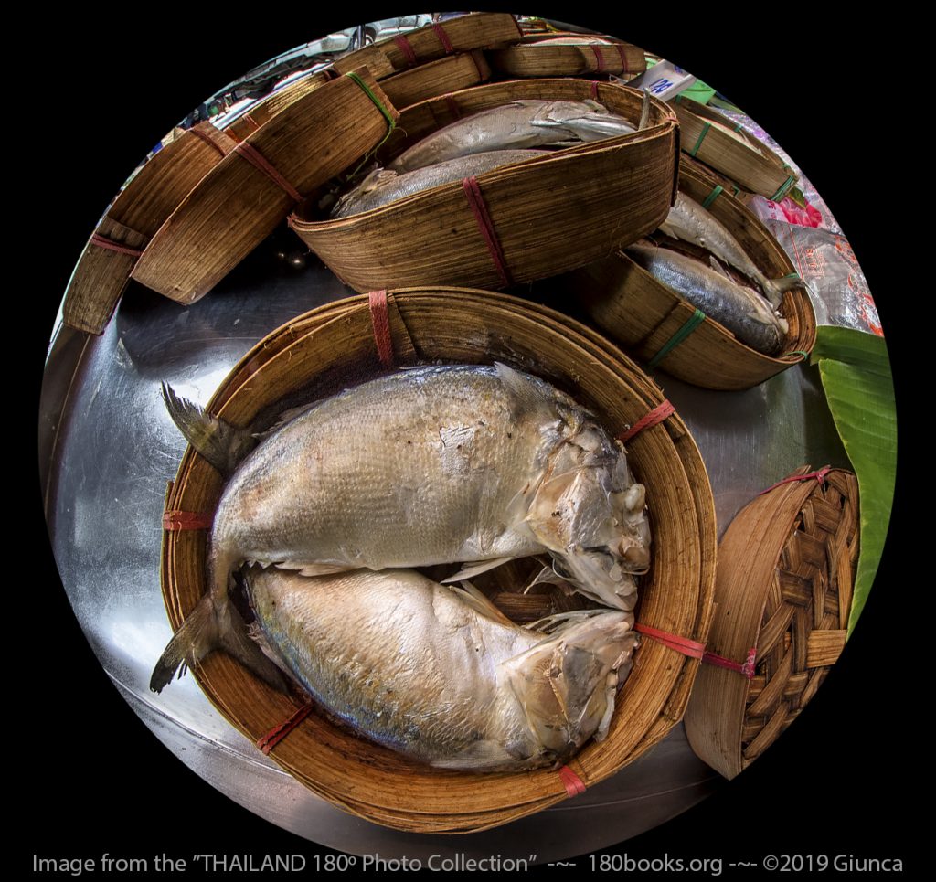 Fisheye image of The larges Pla Tu I've ever seen at the Maha Chai Seafood Market