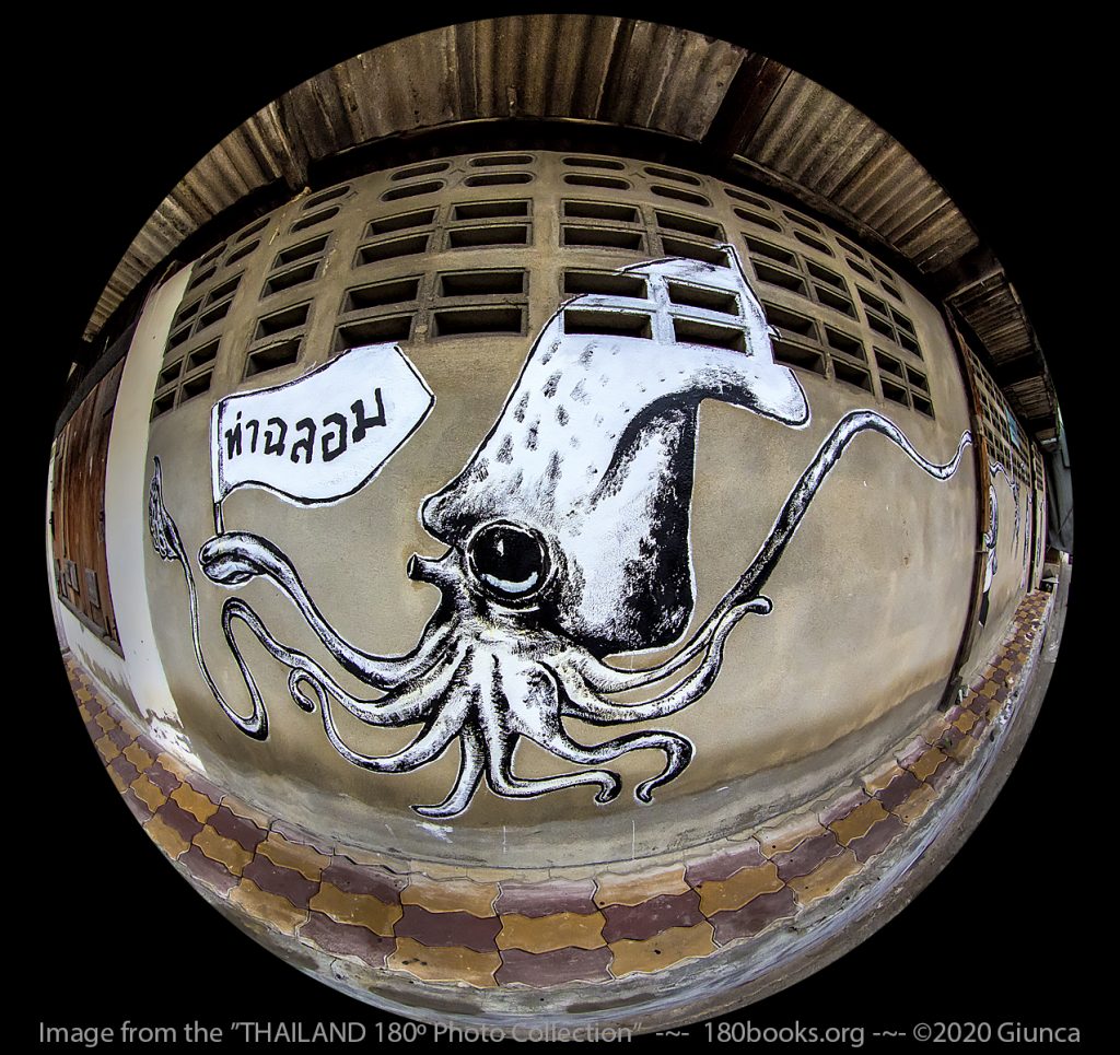 Fisheye image of